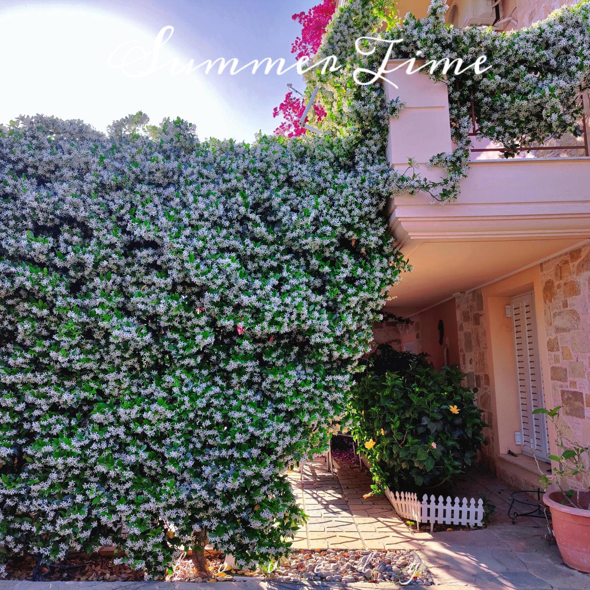 فندق Artemis Garden Near Airport المظهر الخارجي الصورة